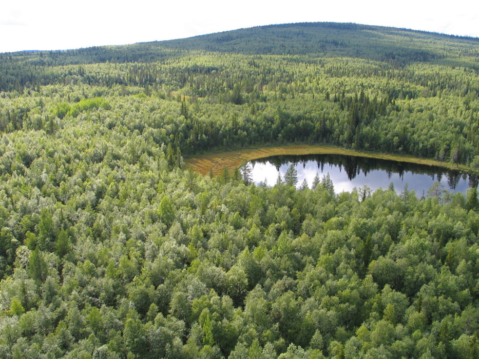 Ett av de senaste naturreservaten i Sverige är Ranesvare naturreservat i Jokkmokk – ett av Sveriges 5 242 naturreservat.