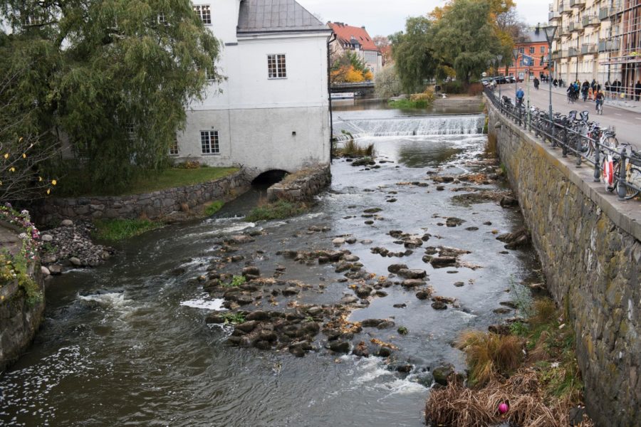 Fyrisån i Uppsala, ett av de många vatten i kommunen där PFAS-halterna är höga.