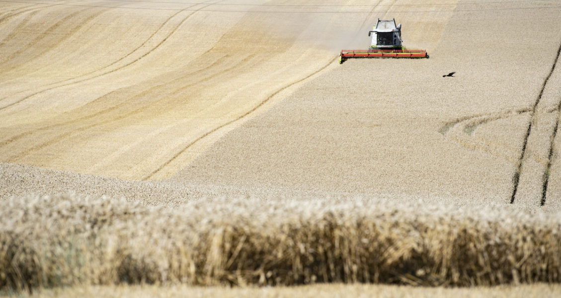 Jordbruket står för en tredjedel av EU:s budget och svårigheterna att komma överens om hur jordbruksstöden ska se ut är stora.