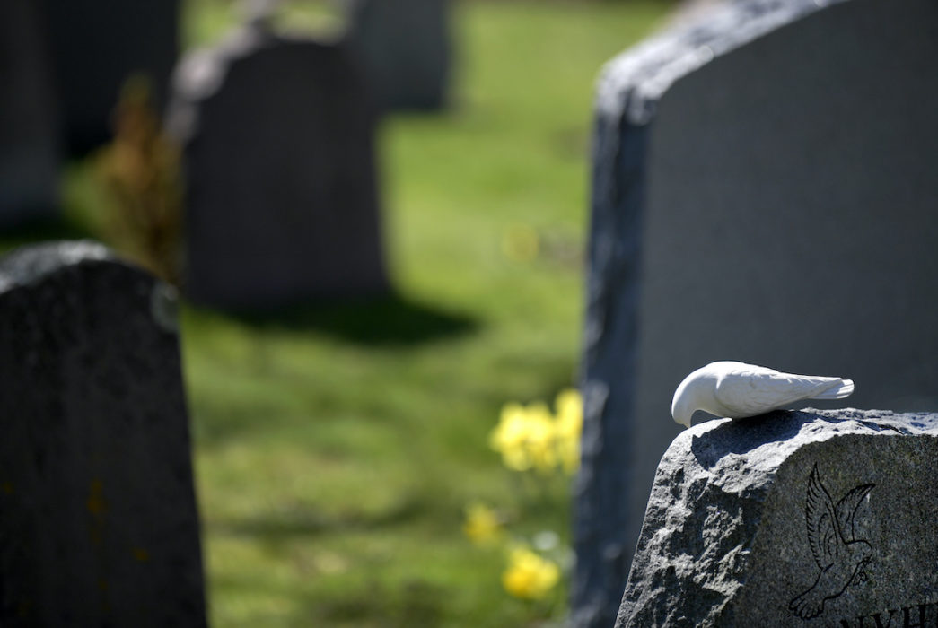 Antalet självmordshot mot Försäkringskassan har ökat med 7 000 procent de senaste 13 åren.
