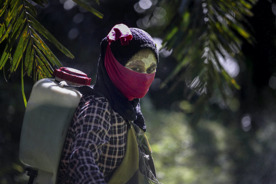 En kvinna besprutar ett palmoljeplantage i Indonesien.