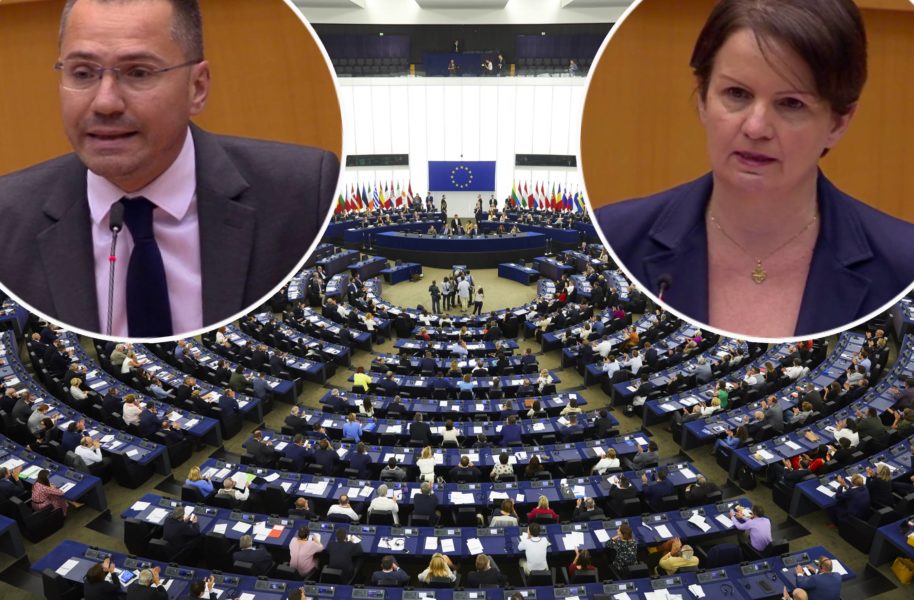 EU-parlamentarikerna Angel Dzhambazki och Maria Bizotto får skarp kritik från den parlamentariska och tvärpolitiska gruppen Ardi för att ha uttryckt sig rasistiskt och hatiskt mot den romska befolkningen.