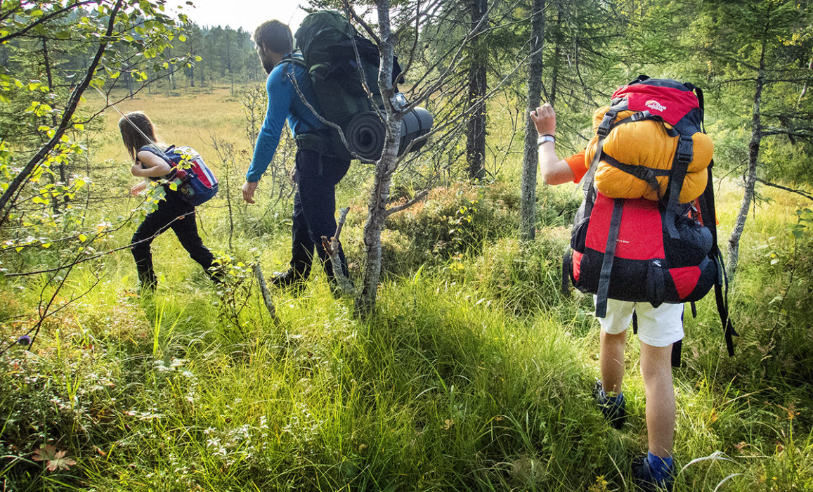 ”Inte har vi väl sett allt i Sverige eller Norden? Jag har det inte.