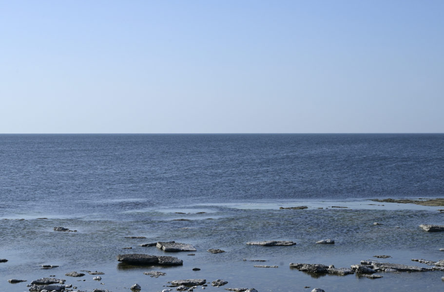 Under juni och juli har två marina värmeböljor registrerats utanför Husö biologiska station på Åland.