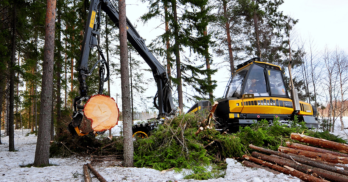 Kan Sverige nå sina miljömål med kalhyggesbruk? Enligt Arne L Persson finns det en övertro på den förnybara skogen, som riskerar att osynliggöra utsläppen.