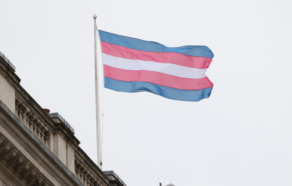 Majoriteten av svenskarna är positivt inställda till trans enligt en ny studie.