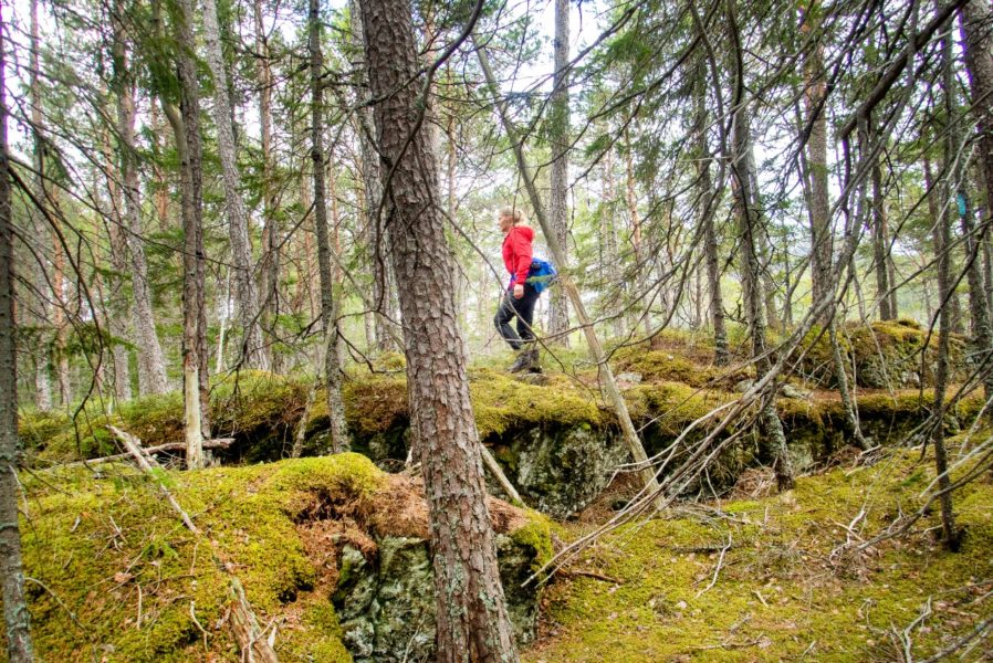 En majoritet vill hellre se att ett lands välstånd mäts genom hur människorna i landet mår och hur bra det är på att restaurera och skydda natur – istället för BNP-tillväxt, enligt en ny enkätundersökningen från Global common alliance vid Stockholm universitet.