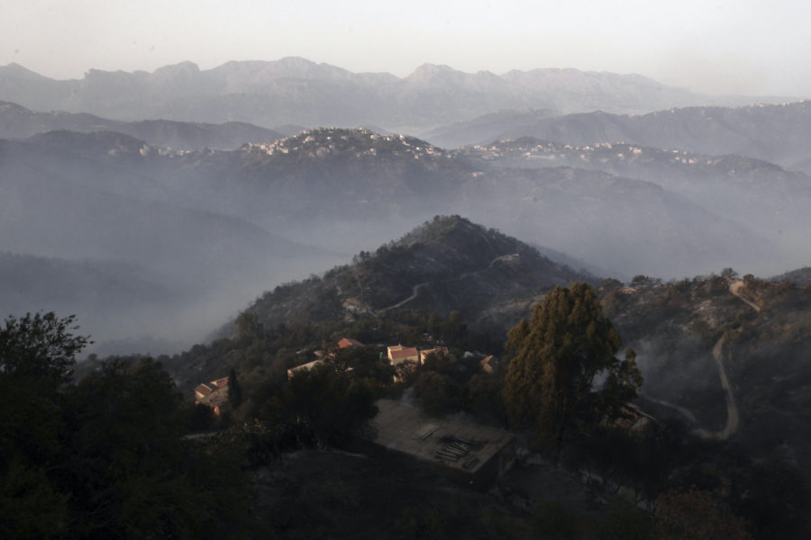 Rök över branddrabbade berg i kabyliska regionen i Algeriet.
