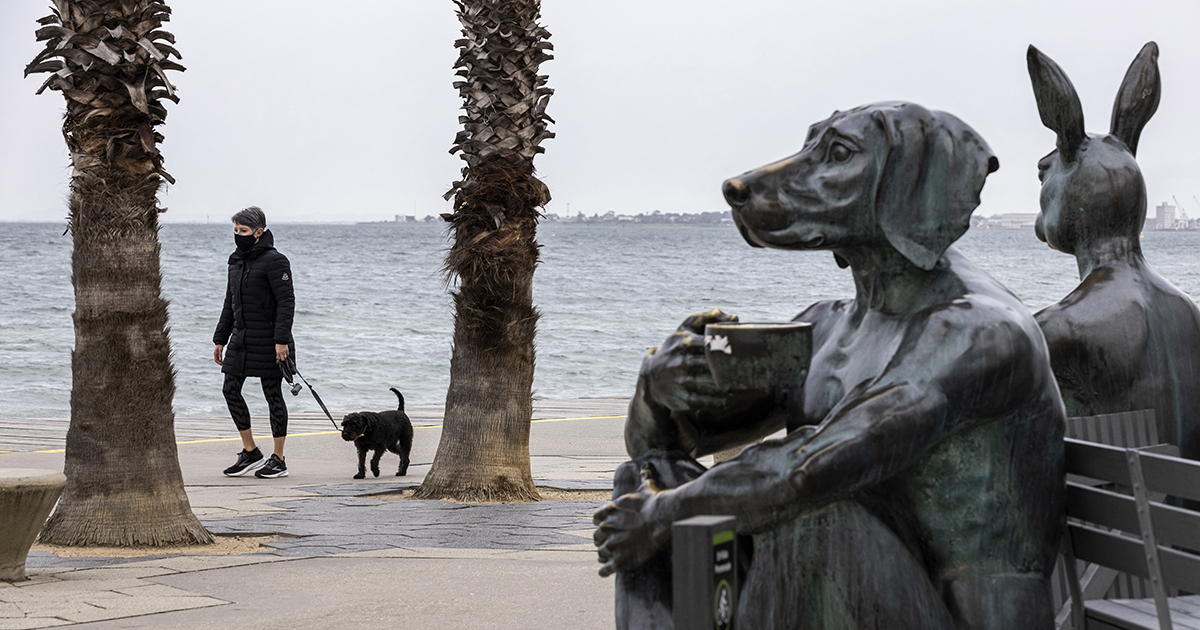 Är en hund en person? Eller förmänskligar man hunden när man kallar den person? Det är en definitionsfråga.