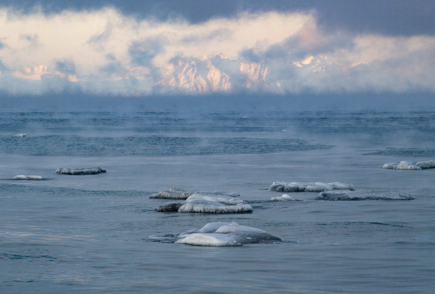 Arktis och Svalbard hör till de områden i världen som drabbats hårdast av klimatförändringarna.