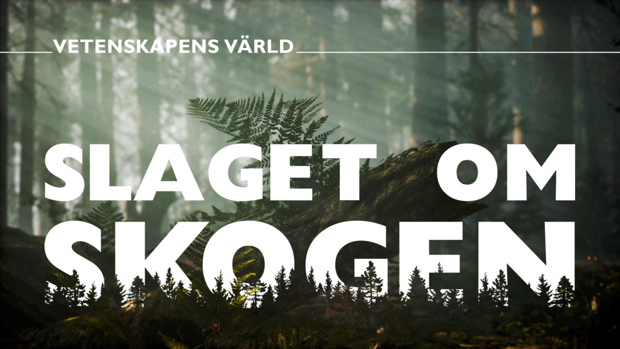 Det är Vetenskapens värld som står bakom Slaget om skogen.