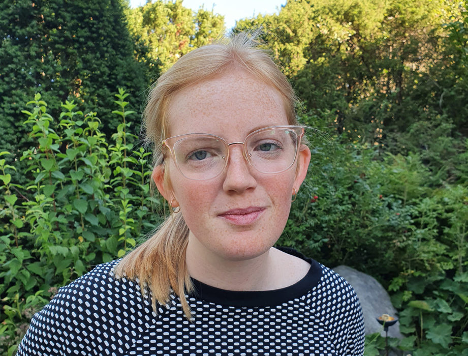 Under namnet Auroramålet stäms svenska staten för bristande klimatåtgärder av en grupp barn och unga.