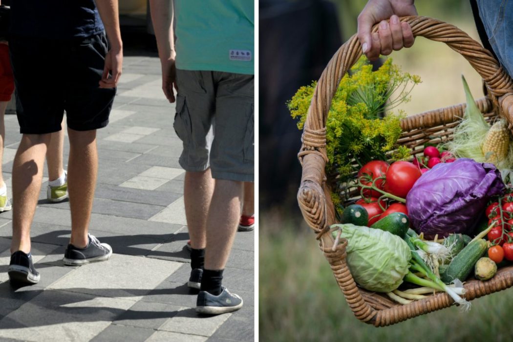 Män som äter växtbaserat pruttar och bajsar mer, på grund av goda tarmbakterier, enligt en ny studie.