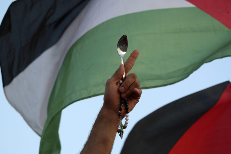 Skeden har synts vid en rad demonstrationer i Palestina den senaste tiden.