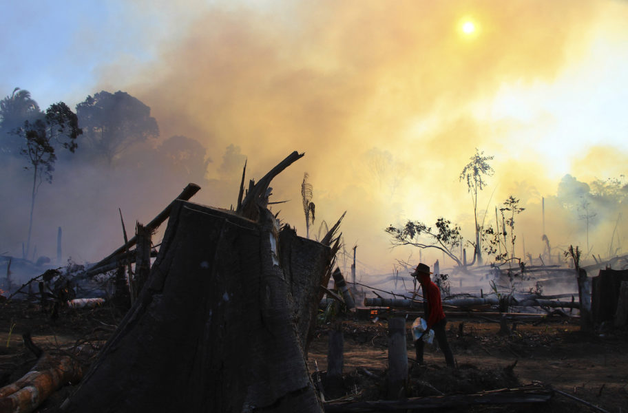 Skog som härjats av en brand nära Labrea i delstaten Amazonas i Brasilien, ett område som historiskt sett haft en hög andel bränder som anlagts för att göra plats för odlingar och boskapsbete.