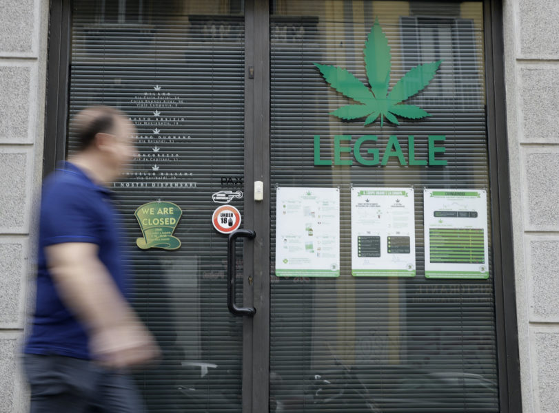 I Italien har en kampanj, från mitten av september, samlat in drygt en halv miljon namn till stöd för att folkomrösta om att legalisera cannabis.