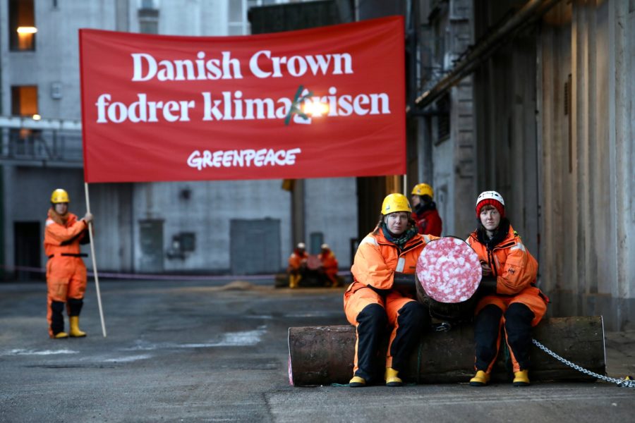 Aktivister från Greenpeace Danmark protesterar mot köttproducenten Danish crowns kampanj som de menar är ”greenwashing”.