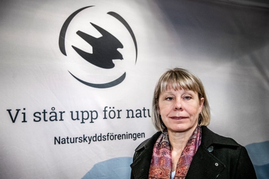 Karin Lexén, generalsekreterare för Naturskyddsföreningen reser till Cop26 i hopp om att kunna påverka världens länder att skärpa sina klimatplaner.
