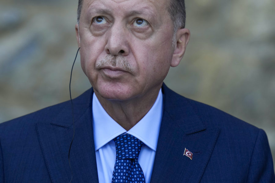 Känslig för förolämpningar – Turkiets president Recep Tayyip Erdogan.