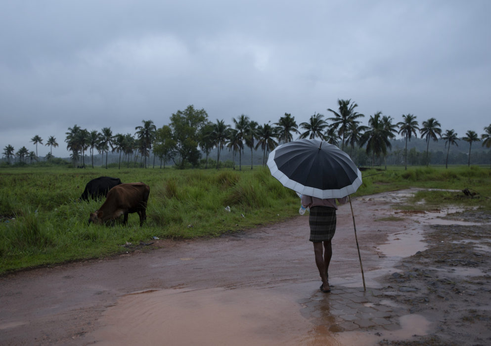 Skyfallen över delstaten Kerala i Indien började på lördagen.
