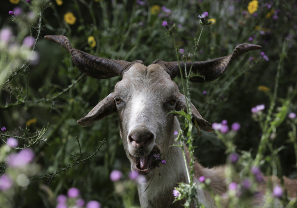  Följ BAK:s live-rapportering.