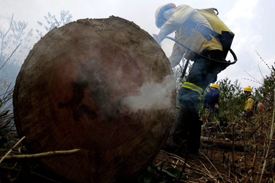 EU-medborgarnas konsumtion driver skogsskövling i tropiska länder.