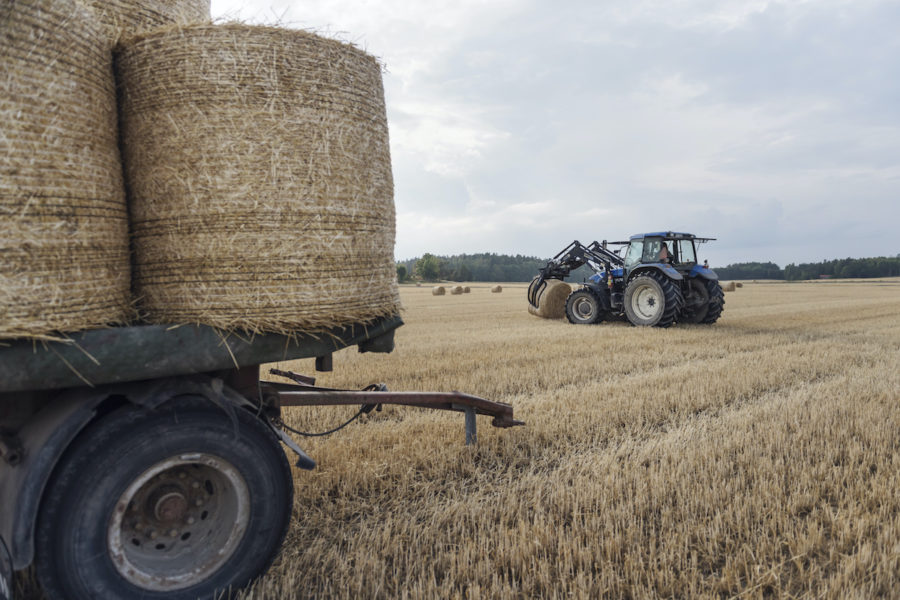 Nu har EU-parlamentet godkänt förslaget till jordbrukspolitik för 2023-2027.