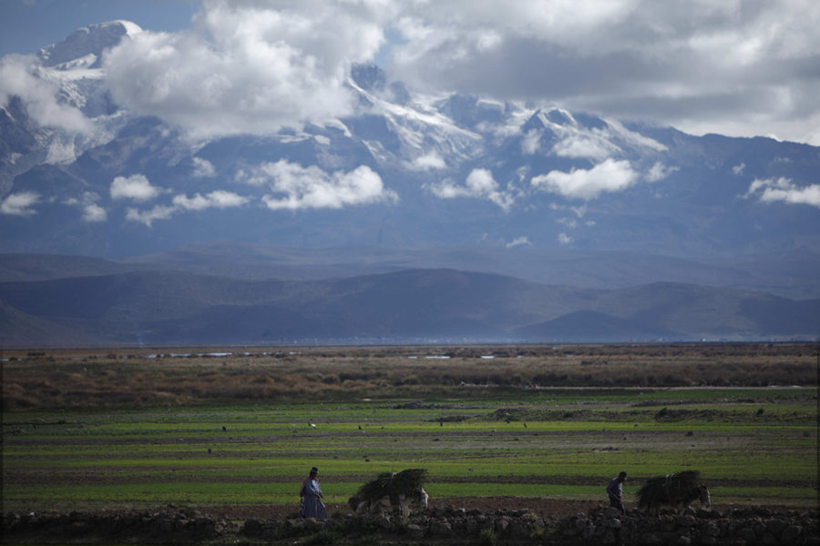 Bönder i ursprungsbefolkningen Aymara transporterar hö i Santiago da Huata, Bolivia.