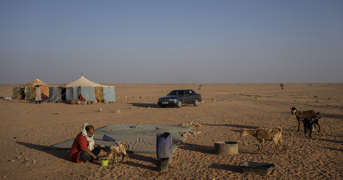 Västsaharier i ett flyktingläger i Algeriet.