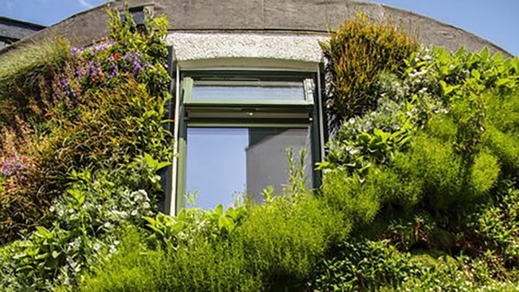 Gröna väggar kan göra att mindre värme läcker ut ur gamla hus.