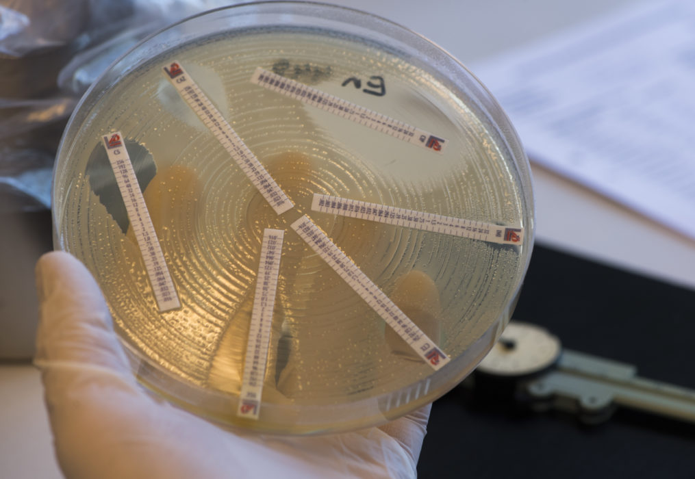 Den nya upptäckten kan innebära nya, mer effektiva antibiotika.