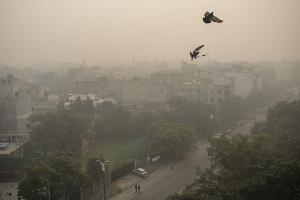 Så här låg smogen över New Delhi i fredags förra veckan.