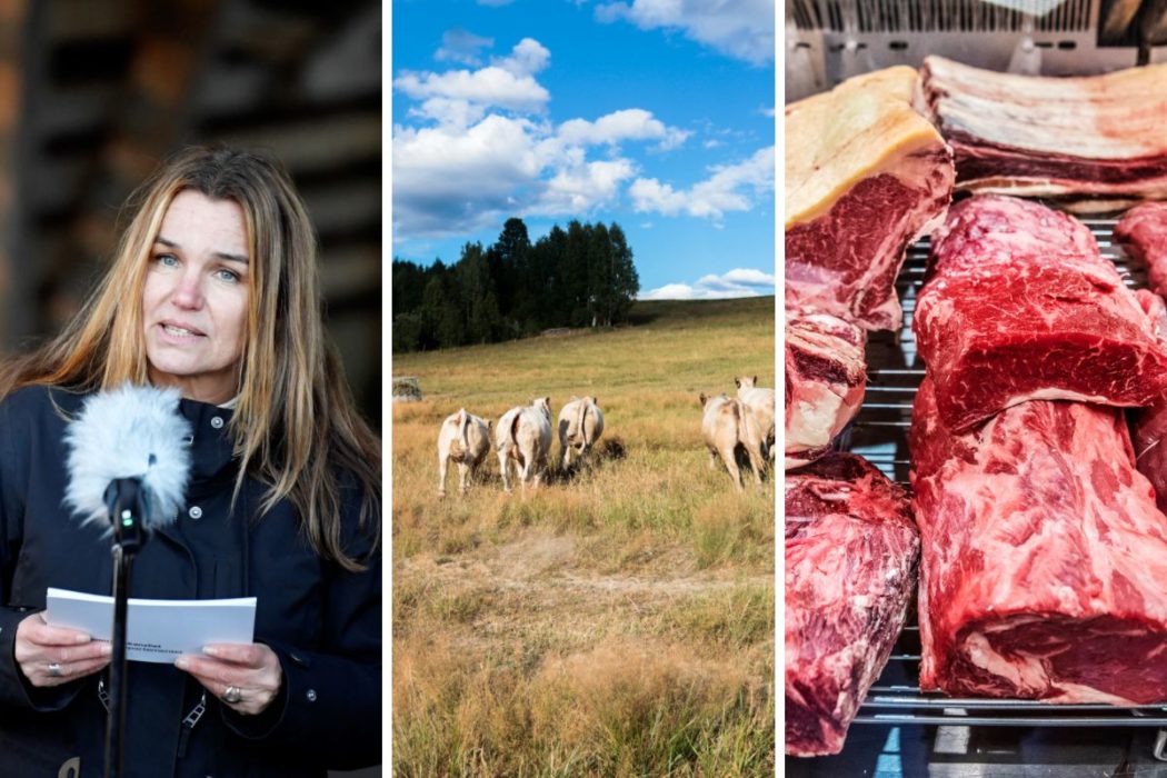 Landsbygsminister Anna-Caren Sätherberg presenterade under dagen regeringens strategiska plan för genomförandet av den gemensamma jordbrukspolitiken för år 2023-2027.