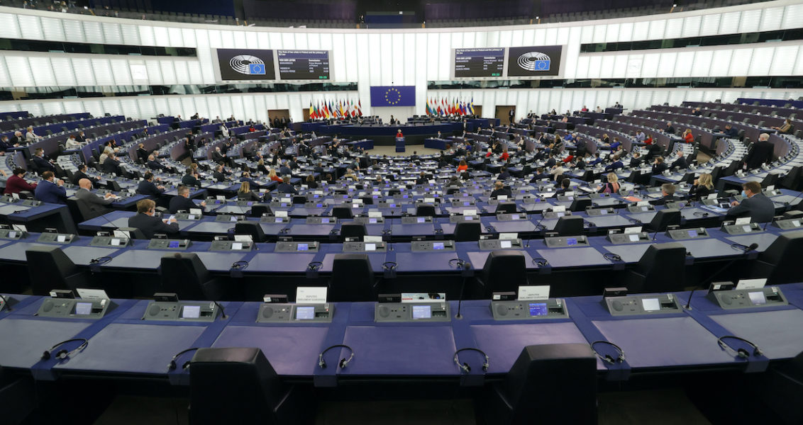 EU-parlamentets djurtransportutskott röstade under torsdagen om sina slutgiltiga rekommendationer.