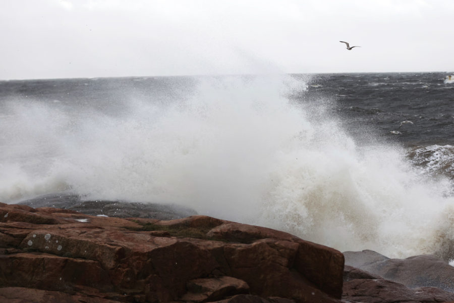 Vågor som bryts på havsytan bidrar till att giftiga PFAS-ämnen återvänder från havet till land, visar en svensk studie.