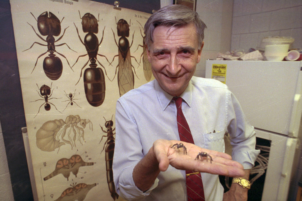 Edward O Wilson, sociobiologins fader, har avlidit i en ålder av 92 år.