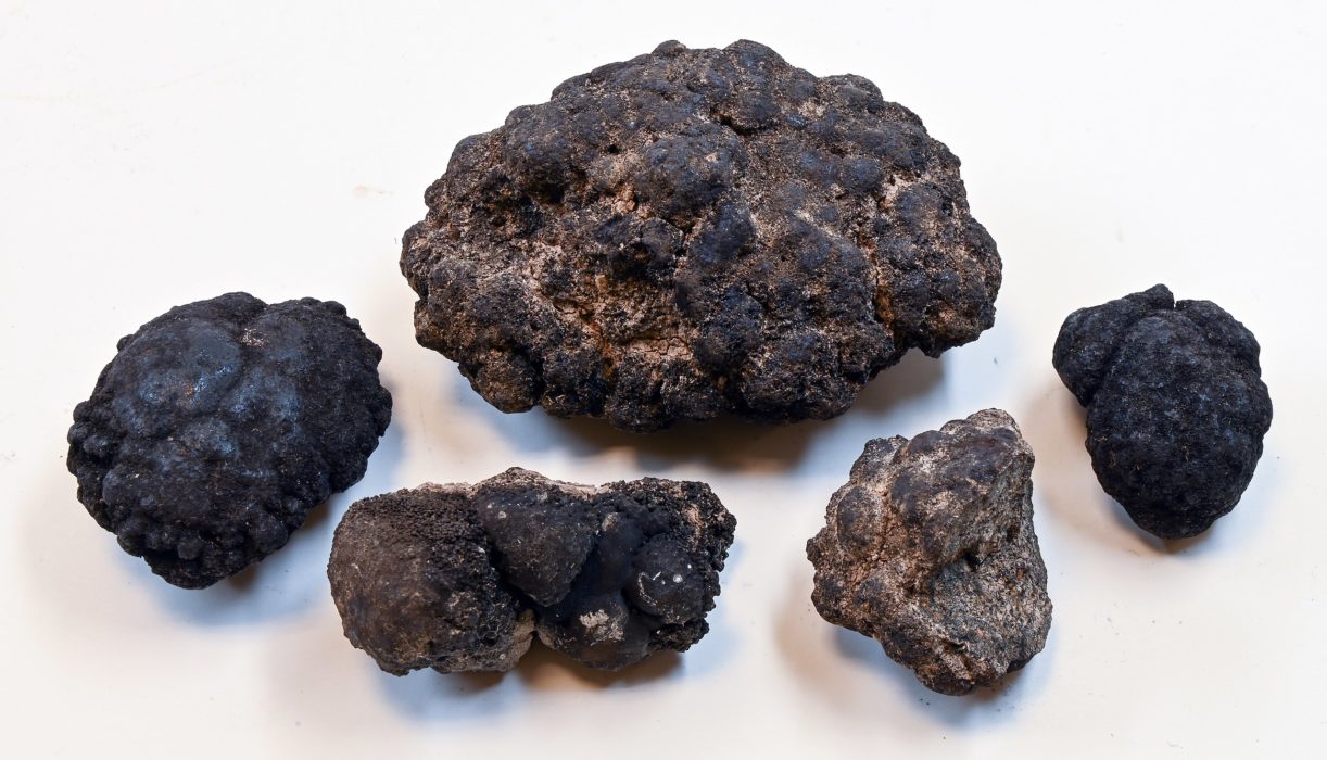Polymetalliska noduler vilar på delar av djuphavsbotten.