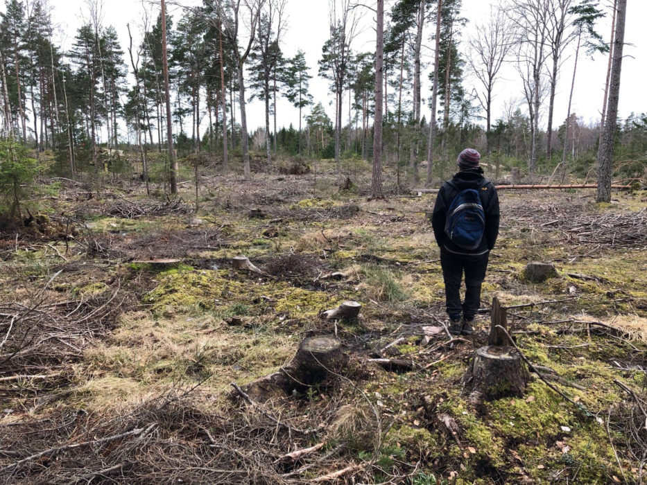 Utan frivilliga krafter som gör inventeringar skulle långt mycket mer värdefull skog avverkas idag.