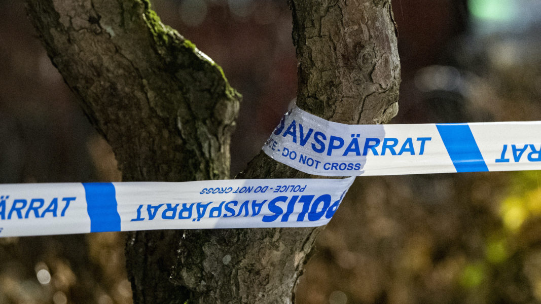 En jägare i Jönköpings län greps under måndagen efter att ha skjutit en hund – som han trodde var en räv.