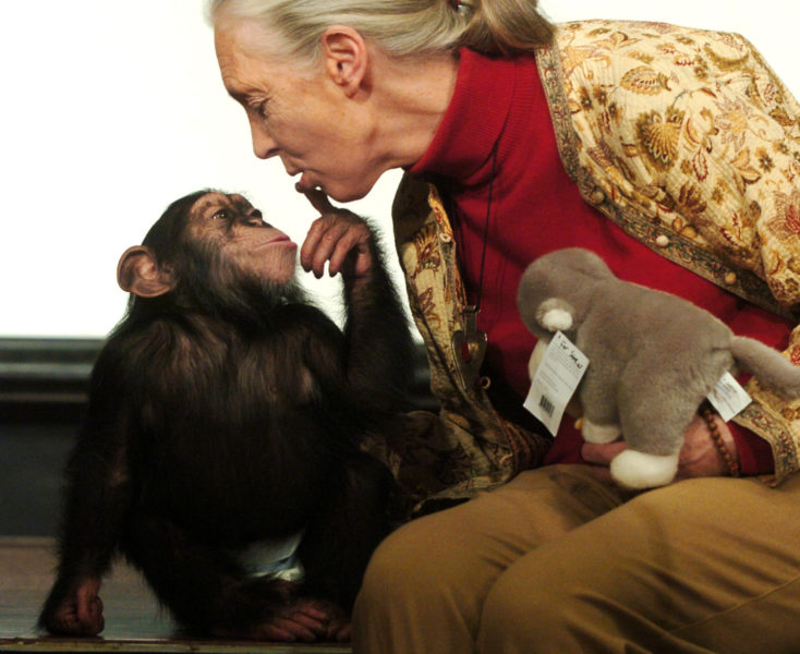 Den brittiska etologen Jane Goodall är en av dem som stöttar den schweiziska djurrättsorganisationen Sentience.