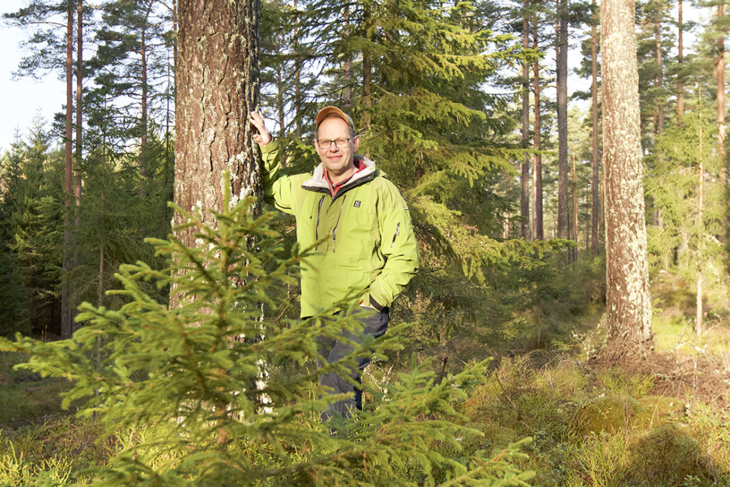 Skogsägaren Leif Öster menar att det måste till mer kunskap om varnyckelbiotoper finns så att skogsägare i ett tidigare skede vetvar de har nyckelbiotoper i sin skog