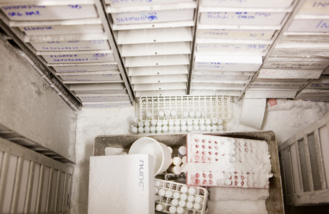 Världshälsoorganisationen WHO har uppmanat ukrainska myndigheter att förstöra alla farliga smittämnen som kan finnas på landets laboratorier.