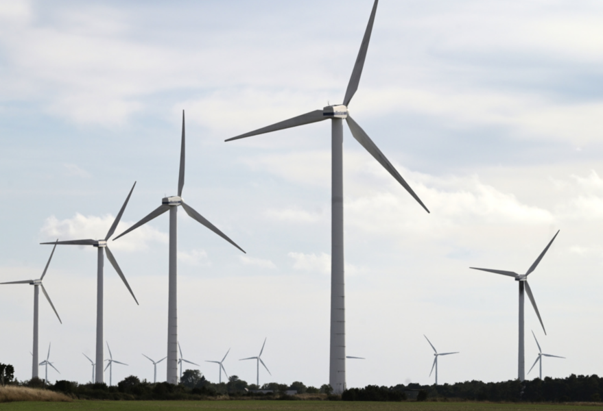 Bara var fjärde vindkraftprojekt under första halvan av 2021 fick klartecken att påbörjas.