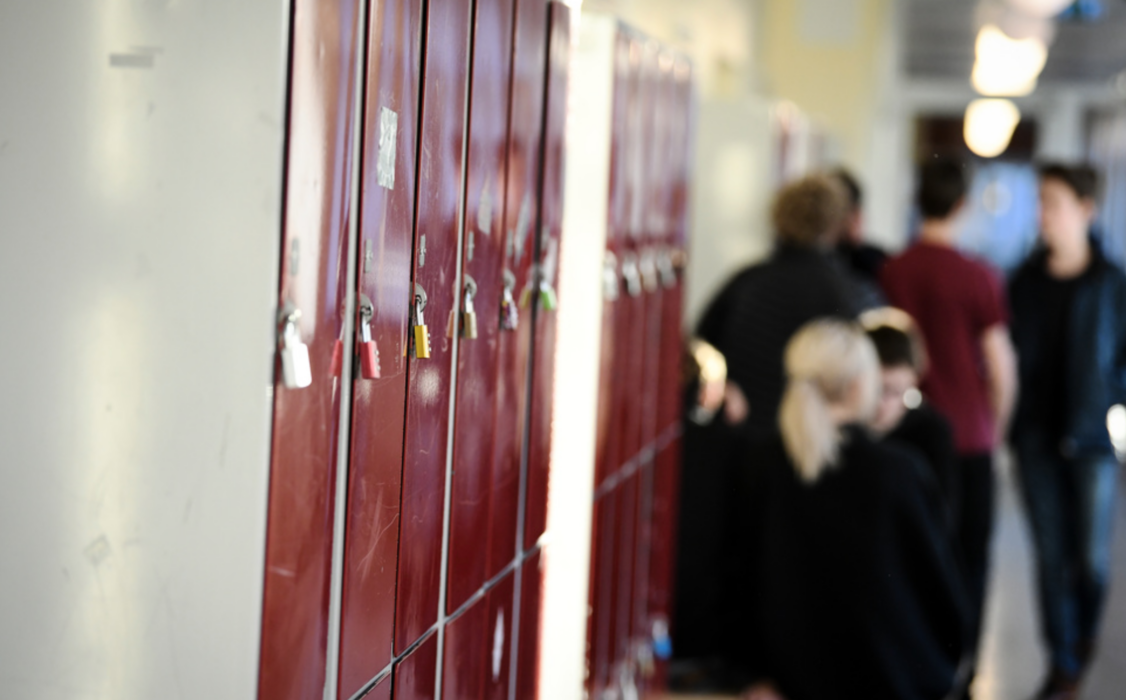 "Nuvarande lag ger enbart rättigheter för friskolorna", säger nationalekonomen Anne-Marie Pålsson.