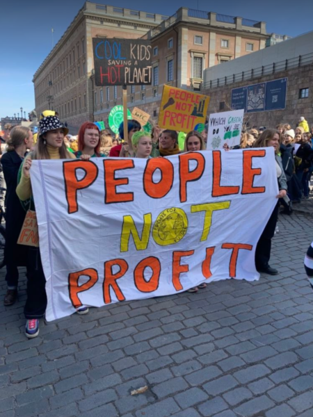 Den globala klimatstrejken 25 mars gick under den internationella parollen #PeopleNotProfit och den nationella hashtaggen #RöstFörRättvisa.