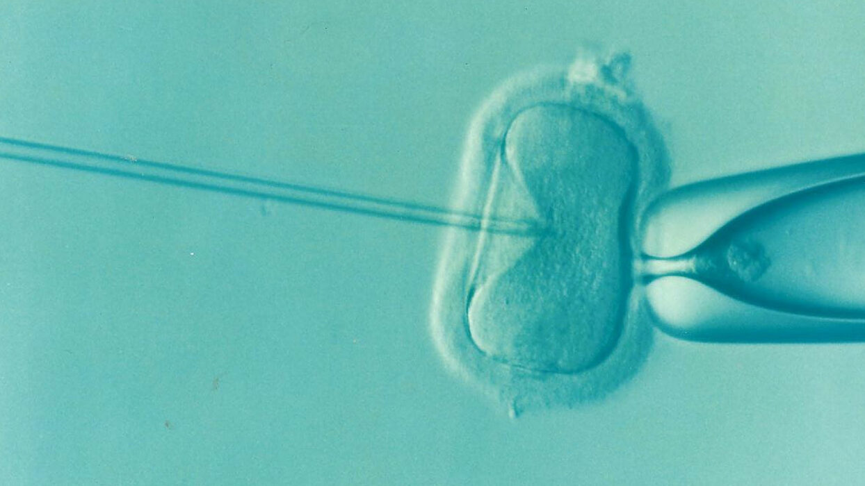 Sedan 1985 har barn som blivit till med spermadonation haft rätt att veta donatorns identitet