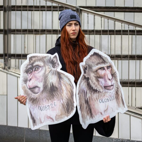 Organisationen Djurrättsalliansen anordnade nyligen en manifestation i Stockholm för att uppmärksamma allmänheten om primatförsöken som bedrivs på Karolinska institutet.