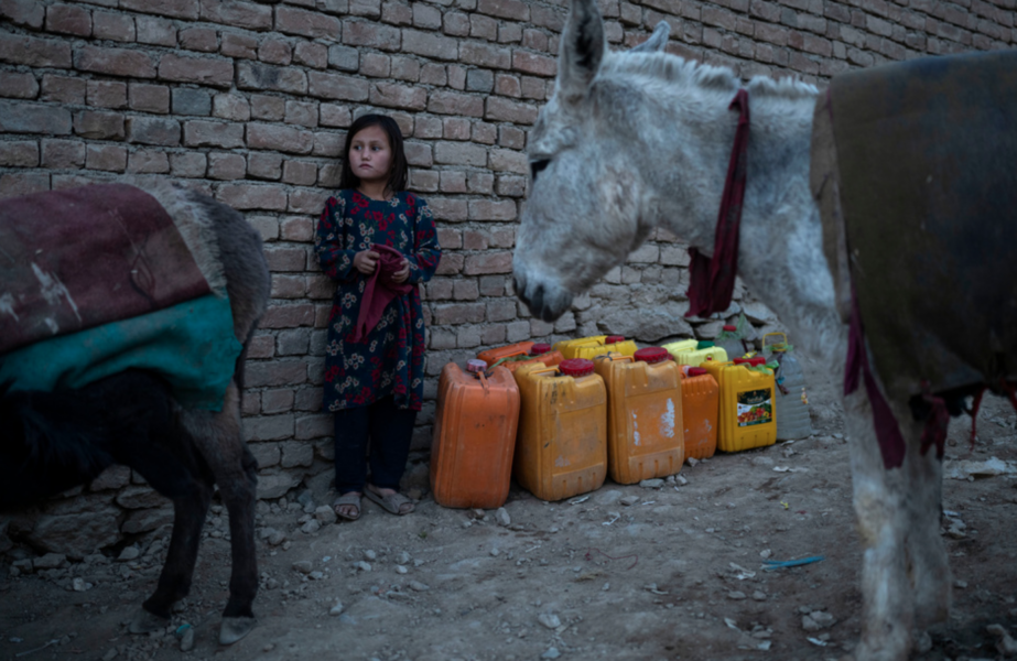 Afghansk flicka i Kabul, bild tagen i november.