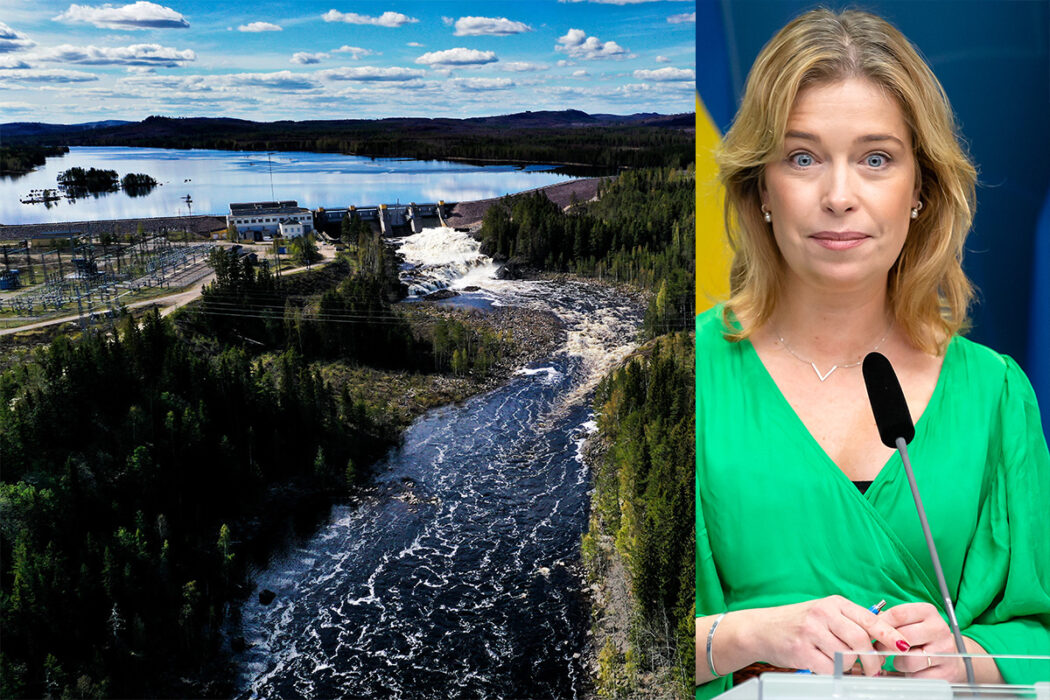 Oppositionen vill pausa omprövningen av vattenkraftens miljötillstånd och vann voteringen i riksdagen.
