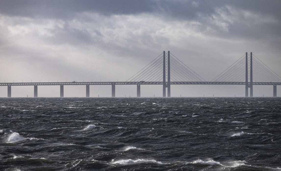 Dumpningen av muddermassor i Öresund kan enligt länsstyrelsen i Skåne orsaka grumling som kan påverka många olika organismer i havet.